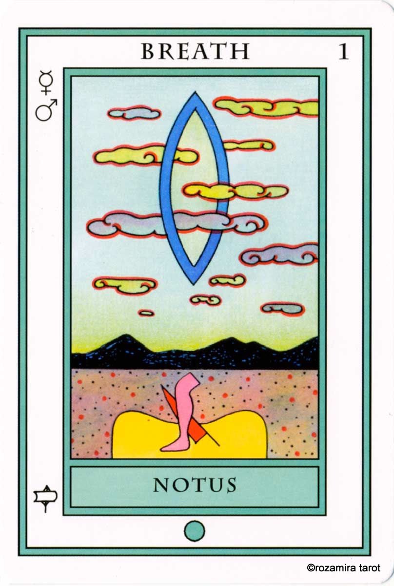 Elemental Tarot by John & Caroline Astrop's